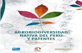 Agrobiodiversidad y Patentes - CORE · Los “derivados” incluyen a las proteínas, los carbohidratos, las enzimas y una gama de moléculas de naturaleza química muy diversa, producidas