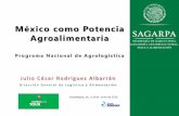 México como Potencia Agroalimentaria - globalgap.org · Mermeladas Extracción de aceite Restaurantes ... Proyecto de 44 has, que busca el agrupamiento de productores Principales