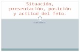 Situación, presentación, posición y actitud del feto. · PPT file · Web view2010-11-17 · Diapositiva 6 Presentación. Diapositiva 8 Presentación. Diapositiva 10 Posición