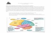 “El Cerebro y la Mente de un Adicto” por Kevin Taylor · ¿Qué está sucediendo en el cerebro y en la mente de un adicto? ... do conforme a los deseos engañosos es una relación