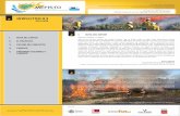 Newsletter N3 MEFISTO ES - mefistoforestfires.eu · glosario multilingüe de términos utilizados en la lucha contra incendios forestales. Después de un arduo trabajo en la elección