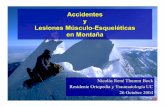 1 Accidentes en Montaña - Seminario de Medicina de Montaña · acción de que involuntariamente resulta daño para las personas o las cosas.” Real Academia Española de La Lengua