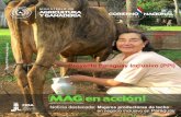 Proyecto Paraguay Inclusivo (PPI) - mag.gov.py MAG-PPI 004. Diciembre 2015.pdf · ha manifestado: “Hemos implementado un trabajo tecnológico, ... La Asociación de Ganado Lechero