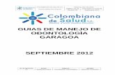 GUIAS DE MANEJO ODONTOLOGIA GARAGOA - Colombiana … DE... · DEFINICION. Enfermedad microbiana de los tejidos calcificados de los dientes, caracterizada por la ... (anestesia infiltrativa