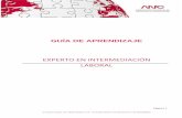 EXPERTO EN INTERMEDIACIÓN LABORAL - anac.com.esanac.com.es/wp-content/uploads/2014/08/GUIA-DE-APRENDIZAJE.pdf · laboral de los profesionales expertos en el sector. La gestión de