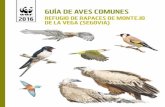 GUÍA DE AVES COMUNESawsassets.wwf.es/downloads/aves_wwf.pdf · WWF España agradece la reproducción y divulgación de los contenidos del presente documento (a excepción de las