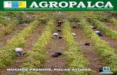 AGROPALCA 26 Maquetación 1 AGROPALCA 26.pdf · Asprocan y de las hoy cinco organizaciones de productores existentes en las Islas (de unas más que de otras), que lo de la reducción