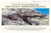 68 - - Actualitat i entitats de Masquefa · Cuatro especies de reptiles amenazados, todos ellos pertenecientes a la fauna española, sirven de modelo para valorar las ventajas e inconvenientes