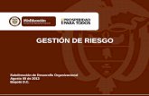 GESTIÓN DE RIESGO - mineducacion.gov.co · Como se observa en la tabla anterior, las categorías de “casi ... Corresponde a aquellos niveles de riesgo cuyos impactos son considerados