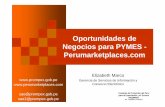 Oportunidades de Negocios para PYMES - Perumarketplacesunpan1.un.org/intradoc/groups/public/documents/unpan/unpan031318.pdf · Las Pymes y las TIC’s Poco uso de las Tecnologías