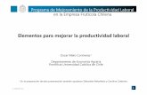 Programa de Mejoramiento de la Productividad Laboral en la ...sna.cl/seminario/2008/enagro/talleres/Claves_para_aumentar_la... · Programa de Mejoramiento de la Productividad Laboral