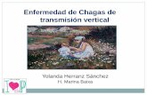 Enfermedad de Chagas de transmisión vertical · • Signos de puerta de entrada: 8% Signo de Romaña y Chagoma • Inicio brusco con fiebre, anorexia, cefalea, mialgias, diarrea
