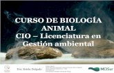 CURSO DE BIOLOGÍA ANIMAL CIO Licenciatura en Gestión … · primavera las células del interior de la gémula se activan, ... ¿Cómo se originan los gametos? ... -nutritivos como