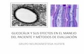 Glicocálix y sus efectos en el manejo del paciente y métodos de … · glicocÁlix y sus efectos en el manejo del paciente y mÉtodos de evaluaciÓn grupo neuroanestesia hufsfb