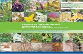 PROGRAMA REGIONAL inter cooperation · 7 Pautas para el uso de este manual El presente manual ofrece información sobre diversas especies de árbo-les de los ecosistemas forestales