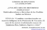 Presentación de PowerPoint - Cámara de Diputadosarchivos.diputados.gob.mx/Comisiones/Ordinarias/.../PRESENTACION... · Multiculturalismo y Derechos de los Pueblos Indios en México