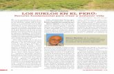 Mesa redonda Los suELos En EL PErú - larevistaagraria.info · Si todos los suelos del desierto se «verdearan» por el avance de la agricultura o por eventos como El ... (Inrena),