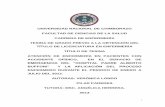 UNIVERSIDAD NACIONAL DE CHIMBORAZO FACULTAD DE …dspace.unach.edu.ec/bitstream/51000/285/1/UNACH-EC-ENFER-2013-0010.pdf · CARRERA DE ENFERMERÌA Tesis de Grado de Licenciada en