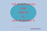 SERVICIOS DE RED E INTERNET - SITIO DE LALES · y, en cada una de ellas, sus servicios y funciones son variables con cada tipo de red. Cada capa debe ocuparse exclusivamente de su
