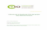 Cálculo de la Huella de CO2 del grupo Gas Natural Fenosa 2010/1000000278.pdf · la huella de carbono del grupo, siguiendo la metodología de análisis de ciclo de vida (ACV) descrita