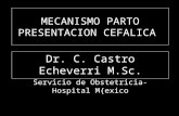 [PPT]MECANISMO PARTO - AEEMmedicina-ucr.com/cuarto/wp-content/uploads/2014/07/... · Web viewMECANISMO PARTO PRESENTACION CEFALICA Dr. C. Castro Echeverri M.Sc. Servicio de Obstetricia-