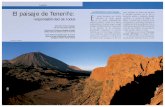 Tu opinión El paisaje de Tenerife: responsabilidad de todos E · (Técnicas de la Consejería Delegada de Paisaje y Medio Urbano del Cabildo Insular de ... y un elemento importante