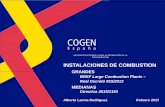 Presentacion BREF-DEI - GENERA 2017 - Cogen España · COGEN ESPAÑA. ASOCIACIÓN ESPAÑOLA PARA LA PROMOCIÓN DE LA COGENERACIÓN 77 Plazos: Los plazos con los que trabaja actualmente