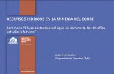 RECURSOS HÍDRICOS EN LA MINERÍA DEL COBRE³n-Agua... · Extracción de agua fresca y consumos unitarios en la minería del cobre al año 2013 3. ... Costos de energía Corrosión