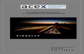 XIV PREMIO NACIONAL ACEX A LA SEGURIDAD EN …acex.eu/nuevosarchivos/Premios/XIVpremio/id15.pdf · atropello, salidas de vía, alcance y colisiones en cadena, la situación más común
