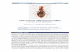 Diversidad de artrópodos terrestres en las Islas Canariassea-entomologia.org/IDE@/revista_4.pdf · gido del fondo marino sin conexión subaérea alguna con masas continentales en