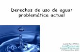 Derechos de uso de agua: problemática actual1-Hacia-la... · 2011-12-07 · Bienes y servicios del agua Agua, ciclo hidrológico Acceso, multiculturalidad y género Externalidades