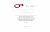 UNIVERSIDAD TECNOLOGICA DEL PERU - repositorio.utp.edu.perepositorio.utp.edu.pe/bitstream/UTP/187/6/1110512-0821919-1110258.pdf · Plan de Negocio para optar el Título de: ... 2.3.1.2