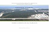 “GRAND CORAL RIVIERA MAYA” - SINATsinat.semarnat.gob.mx/dgiraDocs/documentos/qroo/estudios/2006/23QR... · Generación, manejo y la disposición adecuada de residuos sólidos,