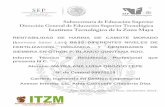 RENTABILIDAD DE HARINA DE CAMOTE MORADOitzonamaya.edu.mx/web_biblio/archivos/res_prof/ige/ige-2014-7.pdf · 2.1 Descripción botánica del camote morado 4 2.2 Características productivas