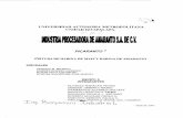 UNIVERSIDAD AUTONOMA METROPOLITANA UNIDAD …148.206.53.84/tesiuami/UAM21477.pdf · MORADO MARTINEZ EMMA MORALES ZAVALA J. ANTONIO ROSSETI AGUILAR PABLO E. SÁNCHEZ RENERO PAOLA C.