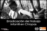 Erradicación del trabajo infantil en Chiapas · ¿Qué NO es el Trabajo infantil? Actividades y tareas que el niño y la niña desarrollan en su entorno familiar y comunitario: 1.