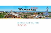 Brochure YoungShip Spain 2018 v2 - naucher.com · profesionales más jóvenes, ... competencia y el networking entre los participantes más ... YoungShip desarrolla un papel activo