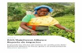RAS/Rainforest Alliance Reporte de impactos · Los granos de café y las hojas de té, ... y apoya los medios de vida sostenibles. ... el lector puede encontrar varios casos de ejemplos