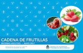 CADENA DE FRUTILLAS - alimentosargentinos.gob.ar de Valor de... · Fuente: DNAyB, SSAyB, Ministerio de Agroindustria. - La fruta producida en ... alrededor del 50% de la producción