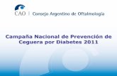 Campaña Nacional de Prevención de Ceguera por Diabetes 2011 · Antigüedad de la diabetes Total Sin datos 100116 Menos de 1 año 109 632 ... 25 o más Nunca. Vitrectomía previa