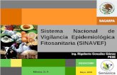 Sistema Nacional de Vigilancia Epidemiológica ...langif.uaslp.mx/documentos/presentaciones_internacionl/01/d1_p3... · Sistema Coordinado de Operaciones para el Manejo de Plagas
