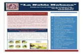 “La Noble Habana” - Círculo Filatélico de la Habana ...fdhv.cubava.cu/files/2016/08/2016-12-30-Julio.pdf · tira, de 20c, recoge de Perú, el gallito de las rocas (Rupicola