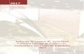 Informe Resumen de Actividad · 2018-06-12 · 4.3 Bolsa de Empleo Camaraemplea  ..... 26 4.4 Bolsa Empleo especializada en ...