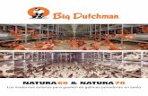 NATURA60 & NATURA70 - Big Dutchman · ... el sistema se encuentra abierto y las gallinas ponedoras pueden acceder a toda la zona de yacija NATURA 60 y NATURA 70 son aviarios para