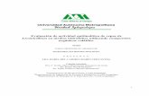 Evaluación de actividad quitinolítica de cepas de ...148.206.53.84/tesiuami/UAMI13157.pdf · Concentración de azucares reductores determinados en medio líquido con quitina coloidal