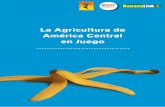 La Agricultura de América Central en Juego - bibalex.org · 4 Retos y demandas de los sectores organizados en sindicatos de la ... 2006, los diez primeros representaron casi el 90%