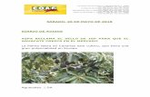 SÁBADO, 26 DE MAYO DE 2018 DIARIO DE …coagcanarias.com/wp-content/uploads/2018/06/Noticias-26...exportaría el producto, no solo porque lidera el cultivo en Canarias, sino porque