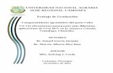 UNIVERSIDAD NACIONAL AGRARIA SEDE REGIONAL …repositorio.una.edu.ni/2764/1/tnf04g216c.pdf · efecto de la fertilización nitrogenada en el pasto Pennisetum purpureum Cuba CT-115,