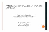PANORAMA GENERAL DE LA EPJA EN MORELOS - Inicioupnmorelos.edu.mx/2013/documentos_descarga_2013/ponencias_quinto... · El Estado de Morelos tiene una ... El problema de pobreza patrimonial
