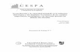 C EC E S P AA - economicas.uba.ar°-7-CESPA.pdf · de tres lustros hasta que se inauguró el primer alto horno de ... con el cambio de ... producción de hierro primario por alto